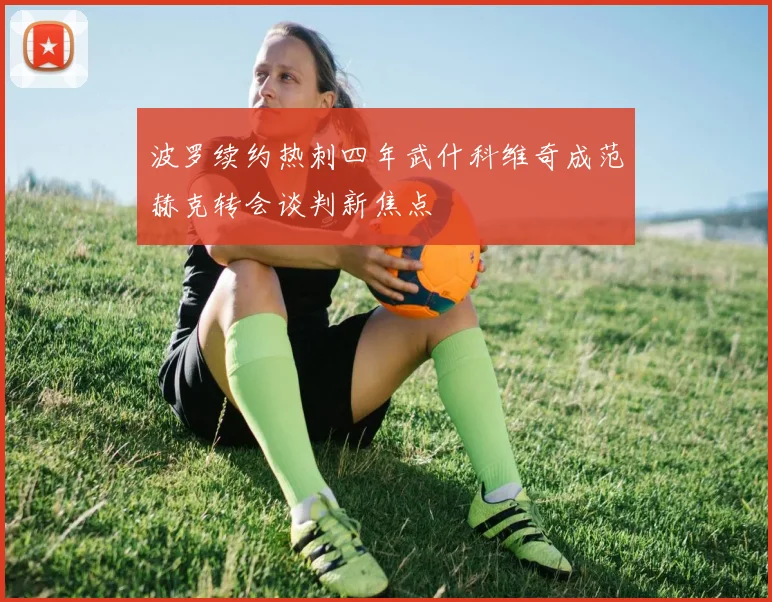 波罗续约热刺四年武什科维奇成范赫克转会谈判新焦点