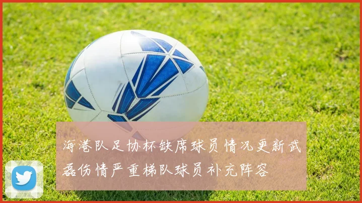 海港队足协杯缺席球员情况更新武磊伤情严重梯队球员补充阵容