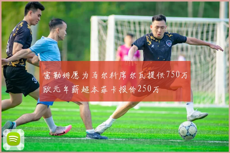 富勒姆愿为马尔科席尔瓦提供750万欧元年薪超本菲卡报价250万